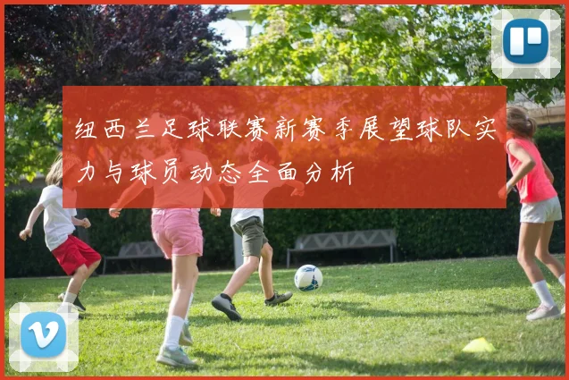 纽西兰足球联赛新赛季展望球队实力与球员动态全面分析