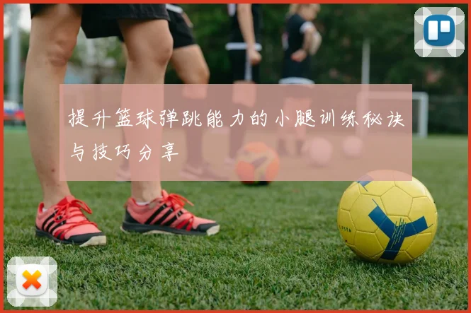 提升篮球弹跳能力的小腿训练秘诀与技巧分享