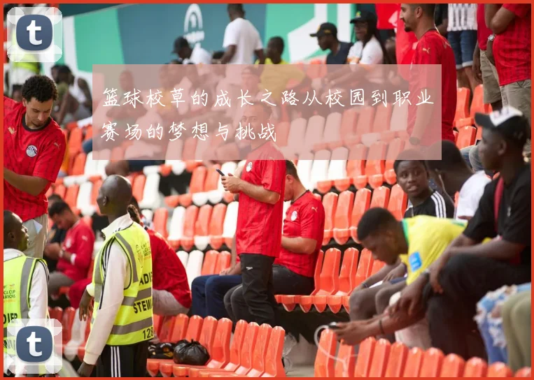 篮球校草的成长之路从校园到职业赛场的梦想与挑战