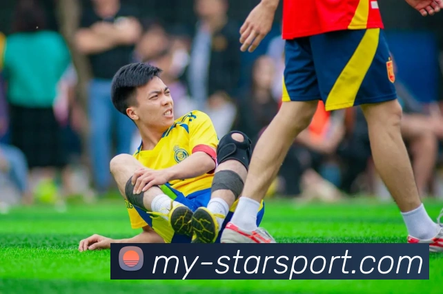 星空体育官网服务体系